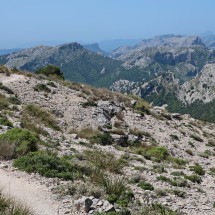 Close to the saddle Coll des Prat which is with 1206 meters sea-level the highest point of the traverse of the range Serra de Tramuntana